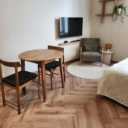 Premium - Proche Chu Et Centre-ville Apartment