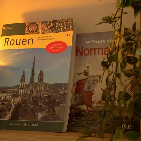 Appartamento Refait à Neuf - Proche Chu Et Centre-ville Rouen
