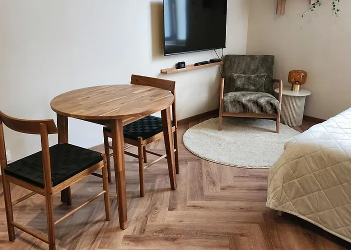 Premium - Proche Chu Et Centre-ville Apartment